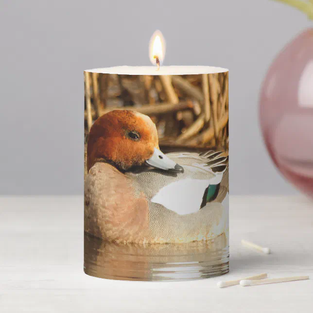 Handsome Stranger in Town Eurasian Wigeon Pillar Candle