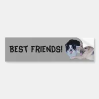 Best Friends Border Collie & German Shepherd Bumper Sticker