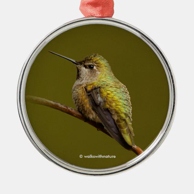 Anna's Hummingbird on Scarlet Trumpetvine Metal Ornament