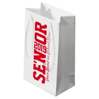 Block Letter Senior Graduation Class of 2019 Small Gift Bag