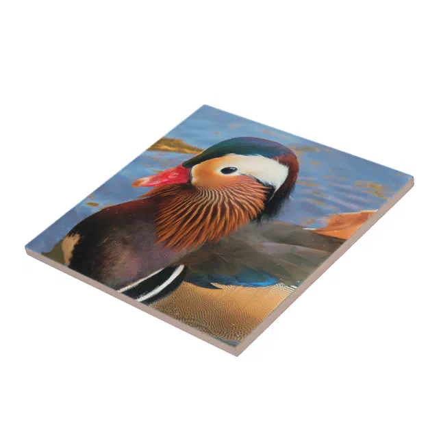 Beautiful Mandarin Duck in the Pond Ceramic Tile