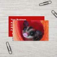 Sugar Glider in Orange Hanging Bed Business Card