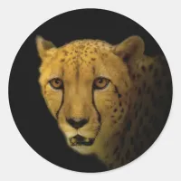 Trading Glances with a Magnificent Cheetah Classic Round Sticker