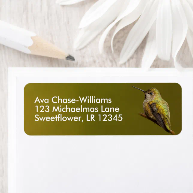 Beautiful Anna's Hummingbird on Trumpetvine Branch Label