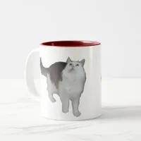 Mug - Concerned Cat