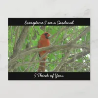 Everytime I see a Cardinal I think of You Postcard