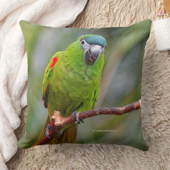 Hahn's Mini Macaw / Red-Shouldered Macaw Throw Pillow