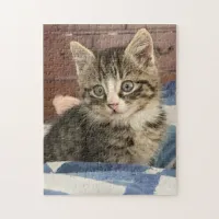 Cute Kitten | Leave this Pic or Add Your Own Jigsaw Puzzle