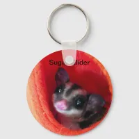 Sugar Glider in Orange Hanging Bed Keychain