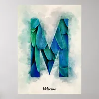 M is For Macaw Poster