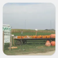 Pumpkin Patch Fall Autumn Halloween Stickers