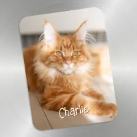 Cat Vertical Portrait Photo Cute Font Name Magnet