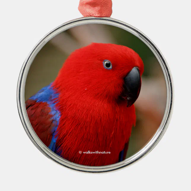 Beautiful "Lady in Red" Eclectus Parrot Metal Ornament