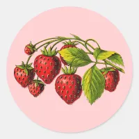 Fresh Strawberries Classic Round Sticker