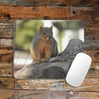 Cute Squirrel on a Tree Branch Mouse Pad