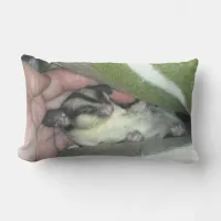 Sugar Glider Sleeping in Blanket Lumbar Pillow