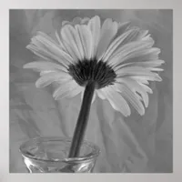 Black and White Daisy Poster