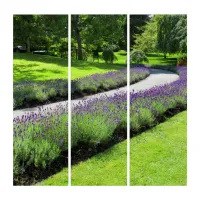 Stunning Lavender-Lined Garden Walk Triptych