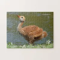 Sandhill Crane Colt Jigsaw Puzzle