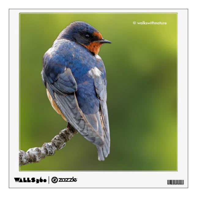 Beautiful Barn Swallow on a Branch Wall Sticker