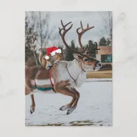 Adorable Santa Squirrel Leaping Reindeer in Snow Postcard