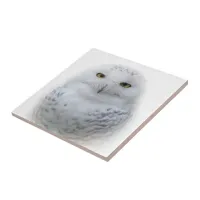 Beautiful, Dreamy and Serene Snowy Owl Ceramic Tile
