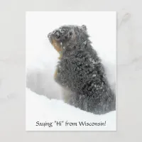 Saying Hi from Wisconsin Snowy Squirrel Postcard