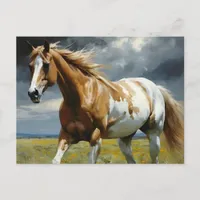 A Gorgeous Pinto Horse in the Meadow Postcard