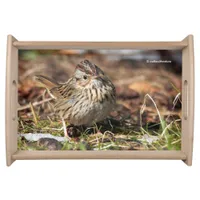 Cute and Spunky Lincoln's Sparrow Serving Tray