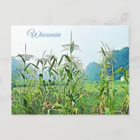 Wisconsin Corn Stalks Midwest Photo Postcard