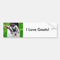 I Love Goats! Bumper Sticker