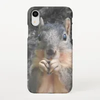 Close up of Cute Squirrel eating a Nut Photography iPhone XR Case
