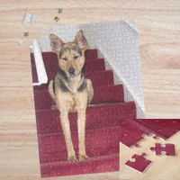 Young German Shepherd Dog Sitting on Stairs 16x20 Jigsaw Puzzle