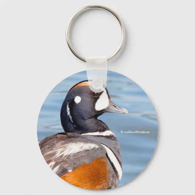 Beautiful Harlequin Duck on the Rock Keychain