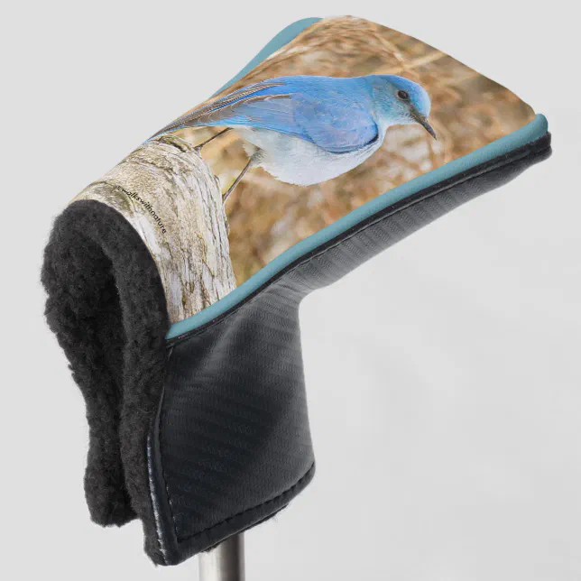 Beautiful Mountain Bluebird at the Beach Golf Head Cover