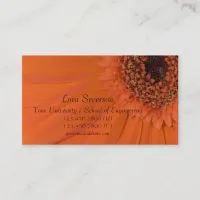 Orange Gerber Daisy Graduate Calling Card