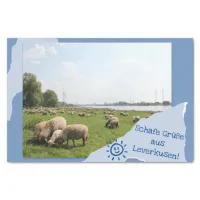 Schafe Grüße aus Leverkusen Tissue Paper