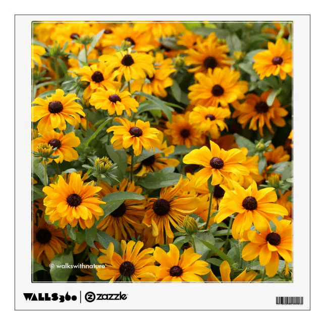 Rudbeckias / A Bed of Black-Eyed Susans Wall Sticker