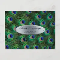 elegant silver teal peacock save the date announcement postcard