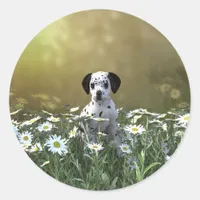 Cute Dalmatian Puppy in Daisies Classic Round Sticker