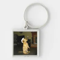 Sitting Pretty or Watching TV Dachshund Keychain