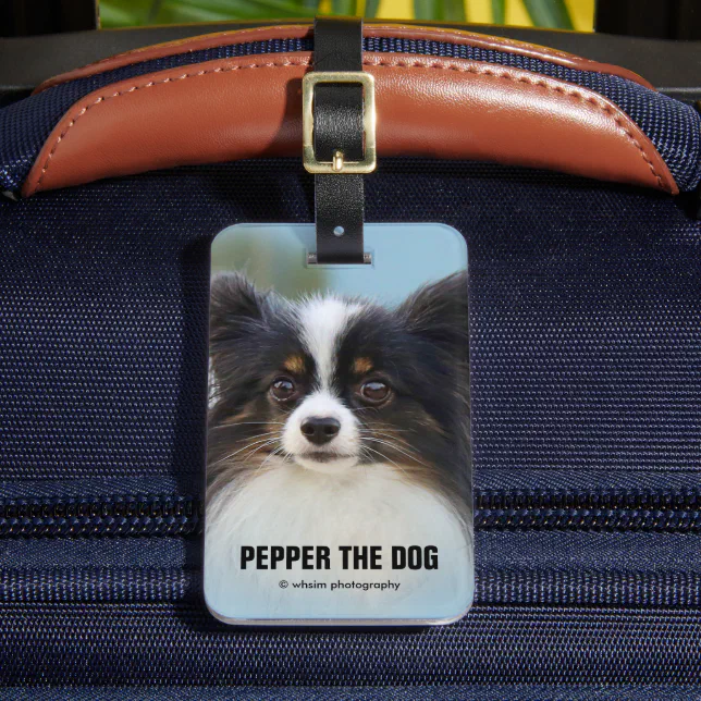 Cute Papillon Toy Spaniel Dog at the Dock Luggage Tag