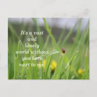 [Lonely Ladybug] Missing You Postcard