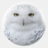 Beautiful, Dreamy and Serene Snowy Owl Classic Round Sticker