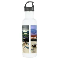 Fairbanks, Alaska Collage Stainless Steel Water Bottle