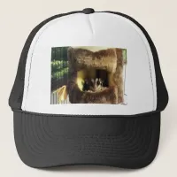 Sugar Glider in Furry Tree Truck Hanging Bed Trucker Hat