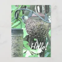 Hello! Saying Hi Cute Bird on Bird Feeder Postcard