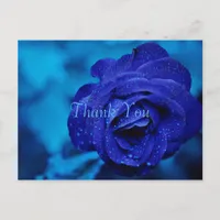 Blue Rose Thank You Postcard