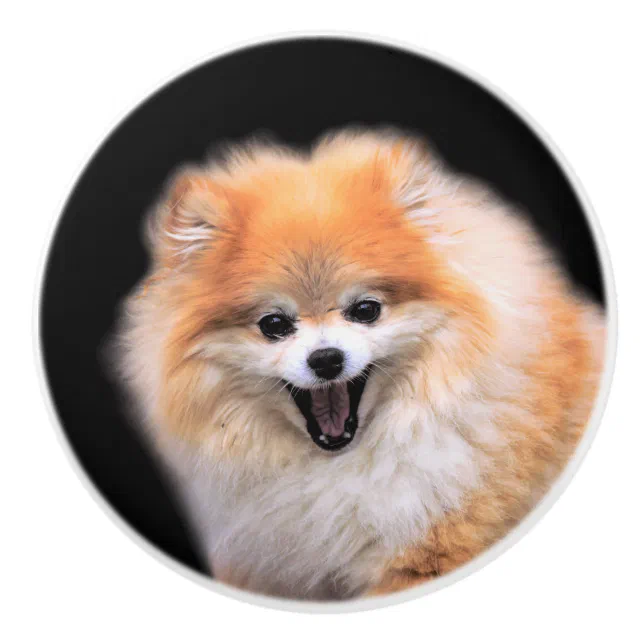 Cute Laughing Pomeranian Dog Ceramic Knob
