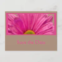 Pink Daisy Flower Save the Date Announcement